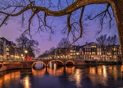 Holandia, Amsterdam, Kanał, Most, Drzewa, Domy, Noc, Światła