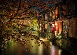 Drzewo, Rzeka, Domy, Lampy, Oświetlenie, Noc, Kioto, Japonia