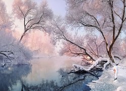 Zima, Rzeka Świsłocz, Ośnieżone, Drzewa, Krzewy, Mgła, Białoruś