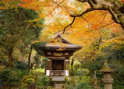 Park, Drzewa, Świątynia, Pagoda, Jesień