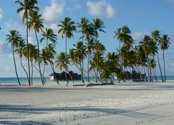 Plaża, Morze, Budynki, Palmy, Niebo, Wyspa Lankanfushi, Malediwy