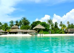 Morze, Palmy, Kokosowe, Pomosty, Chaty, Malediwy