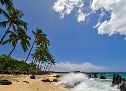 Hawaje, Maui, Morze, Plaża, Skały, Palmy, Niebo