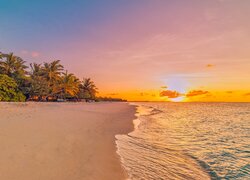 Palmy na morskiej plaży o wschodzie słońca