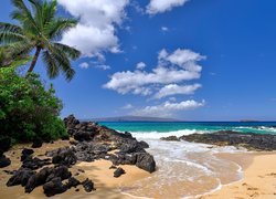 Hawaje, Morze, Plaża, Skały, Palmy, Roślinność, Chmury