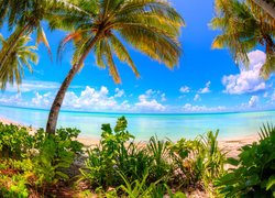 Ocean Spokojny, Morze, Palmy, Roślinność, Chmury, Wyspa Abaiang, Kiribati