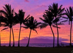 Hawaje, Wyspa Maui, Morze, Palmy, Zachód słońca, Chmury