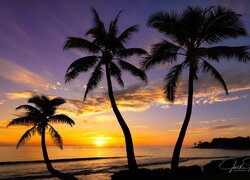 Stany Zjednoczone, Hawaje, Wyspa Oahu, Morze, Palmy, Zachód słońca