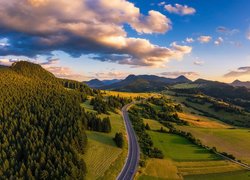 Góry, Drzewa, Droga, Liptov, Słowacja
