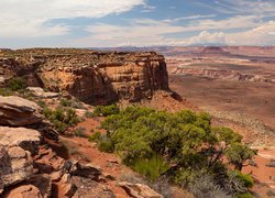 Kanion, Park Narodowy Canyonlands, Skały, Drzewa, Rośliny, Stan Utah, Stany Zjednoczone