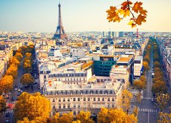 Francja, Paryż, Wieża Eiffla, Jesień