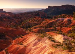Góry, Skały, Kanion, Bryce Canyon, Park Narodowy Bryce Canyon, Utah, Stany Zjednoczone, Drzewa, Sosny