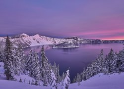 Stany Zjednoczone, Oregon, Park Narodowy Jeziora Kraterowego, Jezioro Kraterowe, Zima, Śnieg, Drzewa
