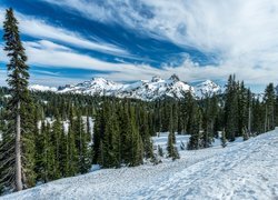Zima, Góry Kaskadowe, Pasmo Tatoosh, Park Narodowy Mount Rainier, Drzewa, Chmury, Stan Waszyngton, Stany Zjednoczone