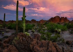 Góry, Kaktusy, Park Narodowy Saguaro, Karnegie olbrzymie, Skały, Arizona, Stany Zjednoczone