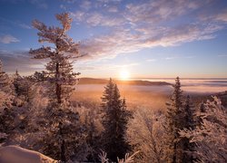 Zima, Las, Mgła, Wschód słońca, Chmury, Park Narodowy Taganaj, Obwód czelabiński, Rosja