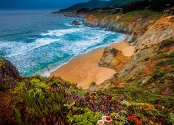 Park stanowy Julii Pfeiffer Burns, Morze, Plaża, Wybrzeże, Skały, Roślinność, Kwiaty, Kalifornia, Stany Zjednoczone