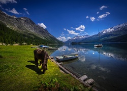 Pasący się koń i łódki przy brzegu jeziora Sils w Szwajcarii