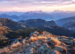 Góry, Rottenmanner und Wolzer Tauern, Niskie Taury, Jesień, Lasy, Skały, Trawa, Kamienie, Austria