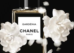 Perfumy Chanel i kwiaty gardenii