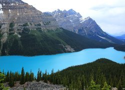 Park Narodowy Banff, Jezioro, Peyto Lake, Góry, Drzewa, Prowincja Alberta, Kanada