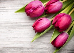 Pięć tulipanów na deskach
