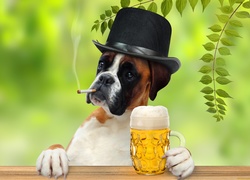 Pies bokser w kapeluszu siedzi przy stole z kuflem piwa paląc papierosa