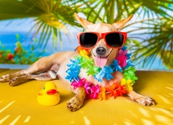 Pies w okularach przeciwsłonecznych pod palmami