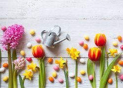 Pisanki pośród tulipanów, hiacyntów i żonkili