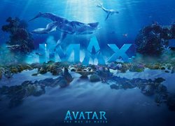 Film, Avatar istota wody, Avatar The Way of Water, Głębia, Dno, Rośliny, Ryby, Napis, Plakat