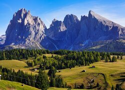 Włochy, Góry, Sassolungo, Dolomity, Płaskowyż, Seiser Alm, Domy, Drzewa