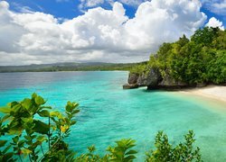Morze, Plaża, Skały, Drzewa, Roślinność, Chmury, Wyspa Siquijor, Plaża Salagdoong, Filipiny