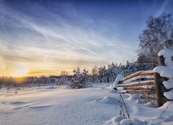 Płot i drzewa zasypane śniegiem o poranku