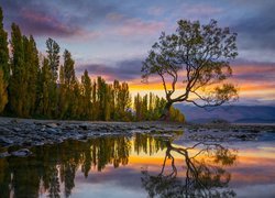 Jezioro Wanaka, Drzewo, Góry, Jesień, Chmury, Odbicie, Nowa Zelandia