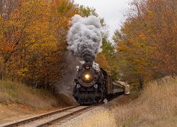 Pociąg przejeżdżający przez jesienny las