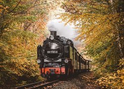 Pociąg z lokomotywą parową w jesiennym lesie