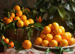 Pomarańcze w koszyku i na talerzu