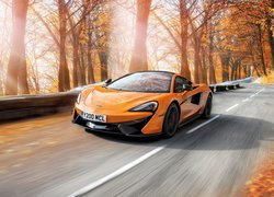 Pomarańczowy, McLaren 570S, Jesień, Droga, Drzewa