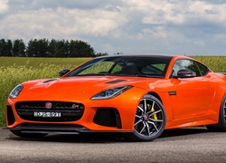 Pomarańczowy samochód marki Jaguar F-Type SVR na tle traw