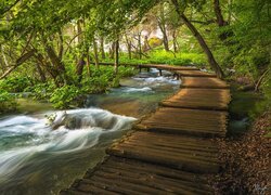 Chorwacja, Plitvice, Park Narodowy Jezior Plitwickich, Rzeka, Drzewa, Pomost