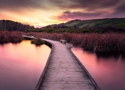 Pomost w nowozelandzkim rezerwacie przyrody Pekapeka Wetlands