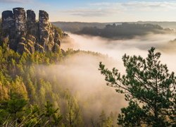 Mgła, Skały, Drzewa, Las, Góry Połabskie, Park Narodowy Saskiej Szwajcarii, Niemcy