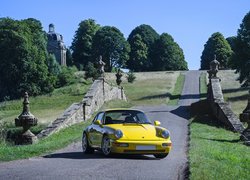 Porsche 911 Carrera 4, Żółty