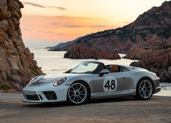 Porsche 911 Speedster bokiem