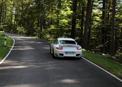 Porsche 911 Turbo S tyłem