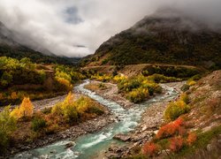 Potok, Rzeka, Góry, Mgła, Jesień