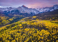 Jesień, Stany Zjednoczone, Kolorado, Szczyt, Mount Sneffels, Góry Skaliste, Lasy, Drzewa