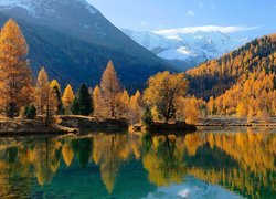 Jesień, Góry, Jezioro, Żółte, Drzewa, Modrzewie, Odbicie