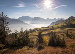 Szwajcaria, Kanton St. Gallen, Góry Alpy, Mgła, Promienie słońca, Drogi, Domy