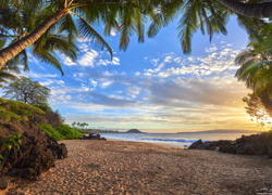Hawaje, Promienie słońca, Morze, Plaża, Palmy